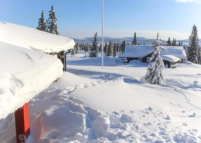 Three-bedroom In * Sjusjoen