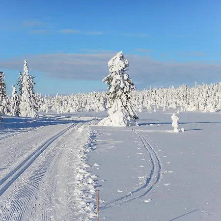 3 Bedroom Stunning In * Sjusjoen