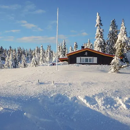 Three-bedroom In