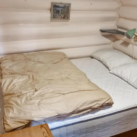 Three-bedroom In Sjusjoen